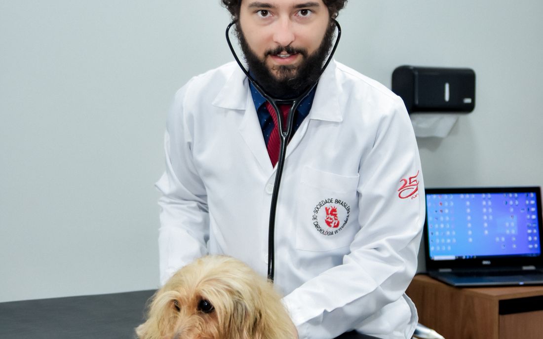 Atendimento cardiológico veterinário